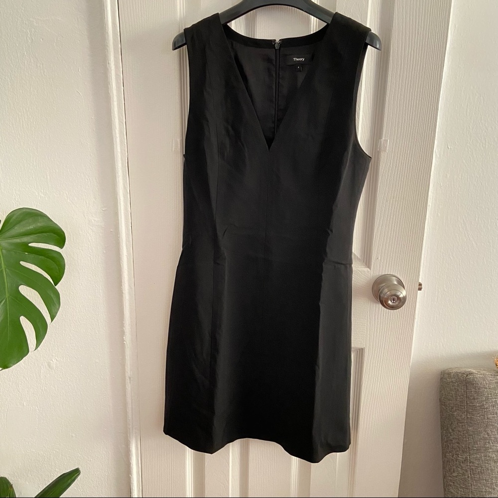 Theory Princess Seam Dress